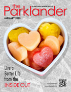 The Parklander January 2015 article What is Pilates and what can it do for me?
